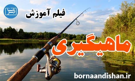 فیلم آموزش ماهیگیری به صورت حرفه ای