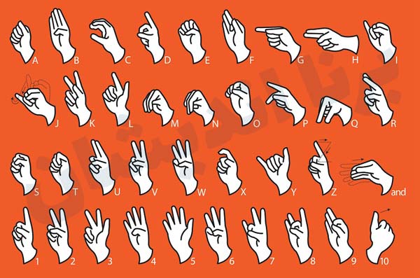 نگاهی به مشکلات حوزه زبان اشاره