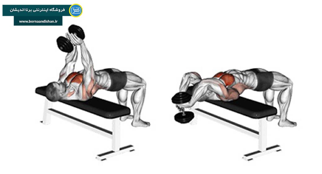 تمرین کشش عضلات زیر بغل با دمبل برای عضله سازی زیر بغل