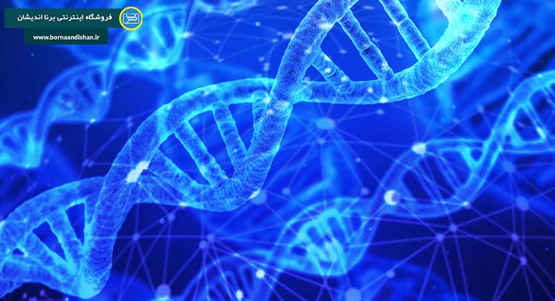 شناخت کروموزم و ژن و ارتباط آن با سلامتی انسان ها