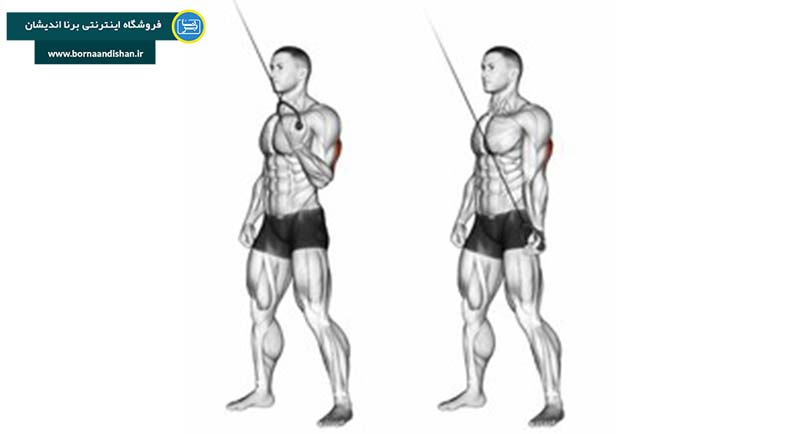 افزایش حجم عضلات پشت بازو با تمرین پشت بازو سیم کش تک از داخل