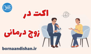 پاورپوینت اکت در زوج درمانی
