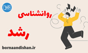 کارگاه روانشناسی رشد: سفری به اعماق تحول انسان