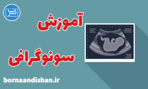 کارگاه پزشکی آموزش تخصصی سونوگرافی