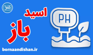 کارگاه پزشکی اختلالات اسید و باز
