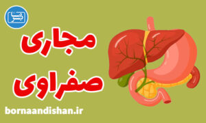 کارگاه پزشکی بیماری های مجاری صفراوی