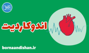 کارگاه پزشکی بیماری اندوکاردیت