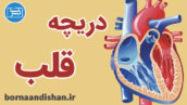 کارگاه پزشکی اختلالات دریچه ای قلب