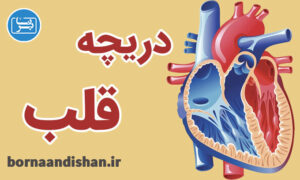 کارگاه پزشکی اختلالات دریچه ای قلب
