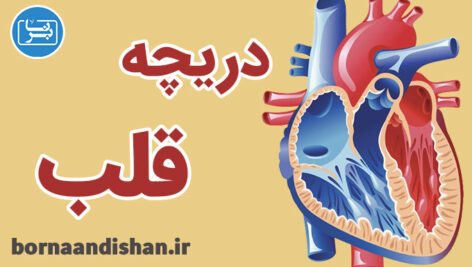 کارگاه پزشکی اختلالات دریچه ای قلب