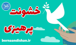 کارگاه آموزشی خشونت پرهیزی تاریخی