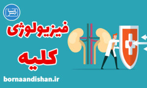 کارگاه پزشکی فیزیولوژی کلیه به صورت تخصصی