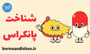 کارگاه پزشکی بیماری های پانکراس