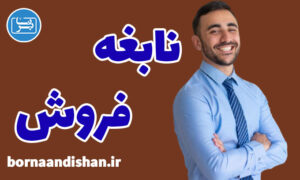 کارگاه آموزش نابغه فروش در تجارت