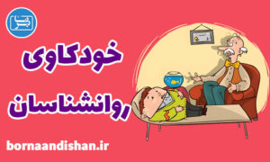 کارگاه روانشناسی خودکاوی و درمان روانشناسان