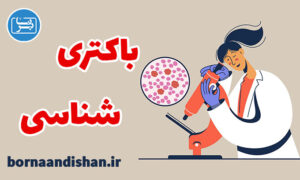 کارگاه پزشکی باکتری شناسی به صورت تخصصی