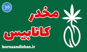 کارگاه روانشناسی آشنایی با مواد مخدر کانابیس