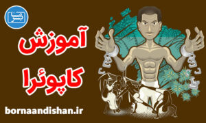 فیلم آموزش ورزش کاپوئرا هنر رزمی برزیلی