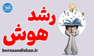 آموزش هوش های چندگانه و رشد هوش در افراد