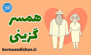 پکیج روانشناسی تیپ های شخصیتی و همسرگزینی