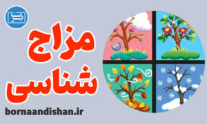 پکیج آموزش مزاج شناسی به صورت کامل