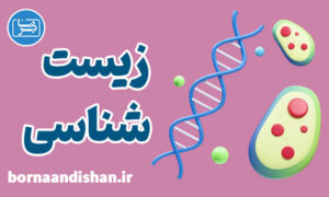 پکیج آموزش علم زیست شناسی به صورت کاربردی