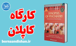 کارگاه آموزش روانپزشکی کاپلان و سادوک