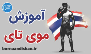 فیلم آموزش موی تای به صورت تخصصی