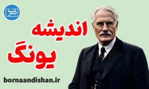 پکیج روانشناسی شناخت اندیشه یونگ