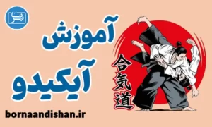 پکیج آموزش آیکیدو به صورت کاربردی