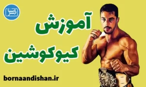 پکیج آموزش کیوکوشین با اندی هوگ