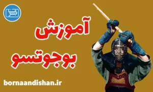 پکیج آموزش بوجوتسو به صورت پیشرفته