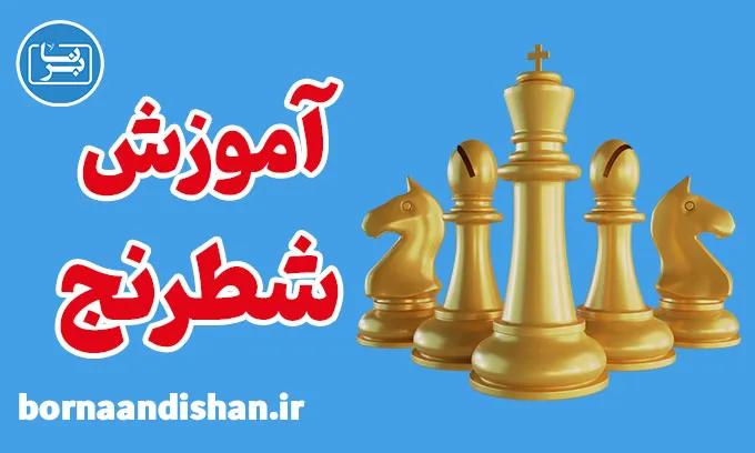پکیج آموزش شطرنج به صورت تخصصی