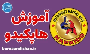 پکیج آموزش هاپکیدو به صورت حرفه‌ای