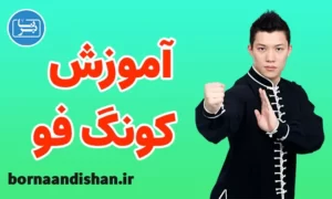 پکیج آموزش کامل کونگ فو