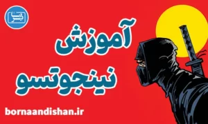 پکیج آموزش نینجوتسو و فنون نینجا