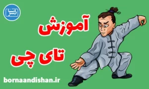 پکیج آموزش تای چی