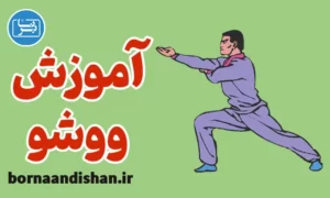 پکیج آموزش ووشو به صورت حرفه‌ای