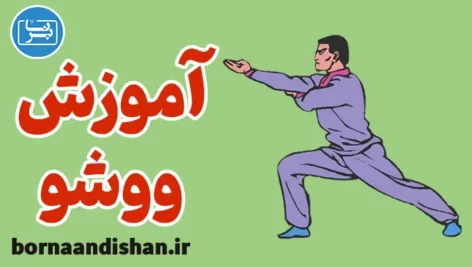 پکیج آموزش ووشو به همراه تمرینات و تکنیک ها