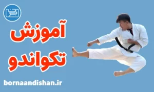 پکیج آموزش تکواندو به صورت کاربردی