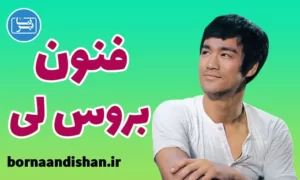 پکیج آموزش هنرهای رزمی بروس لی
