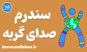 پاورپوینت سندرم صدای گربه