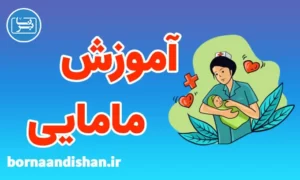 کارگاه پزشکی آموزش مامایی
