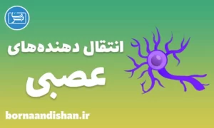 پاورپوینت انتقال دهنده های عصبی