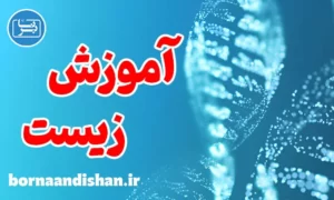 پکیج آموزش زیست شناسی کنکور