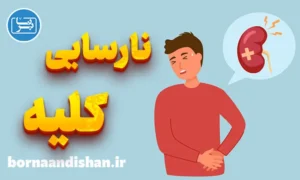 پاورپوینت نارسایی کلیه