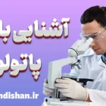 رشته پاتولوژی: علم شگفت انگیز پزشکی