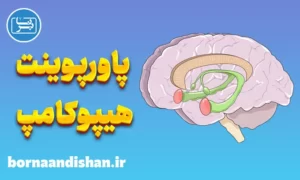 پاورپوینت هیپوکامپ