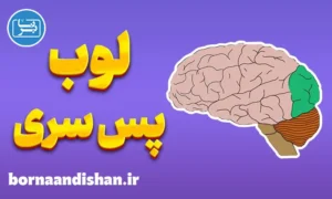 پاورپوینت لوب پس سری