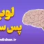 پاورپوینت لوب پس سری